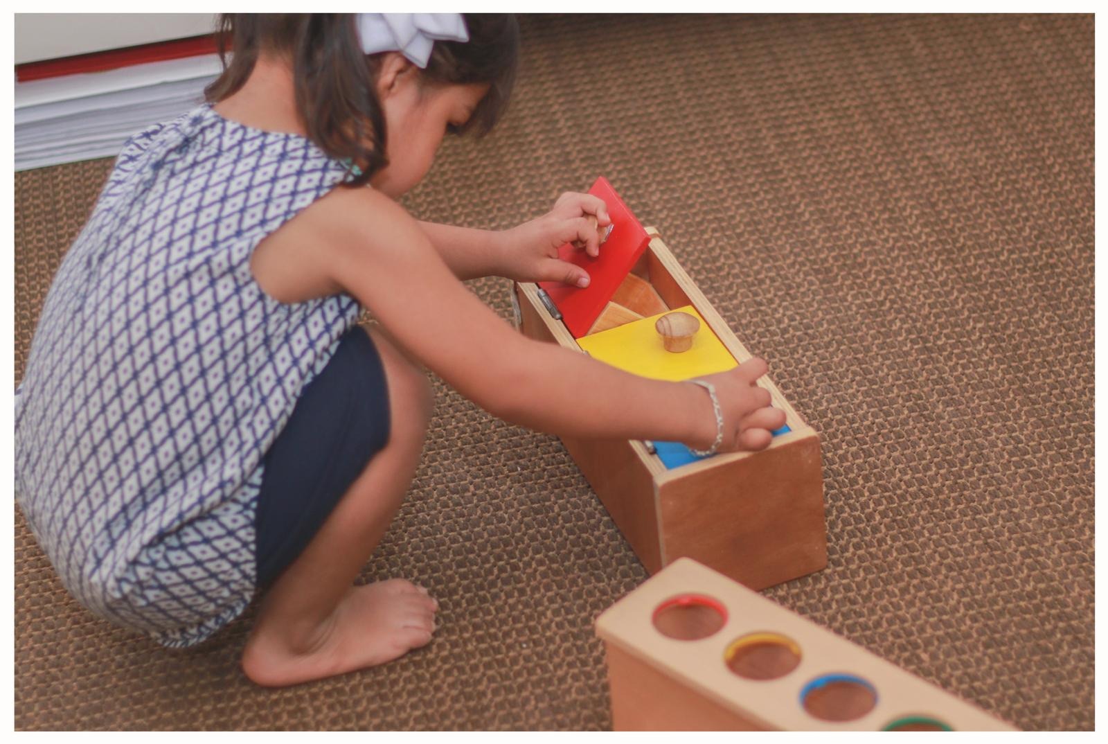 Obras y Lecturas Esenciales de María Montessori