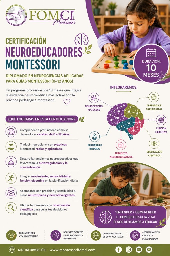 Certificación Neuroeducadores Montessori