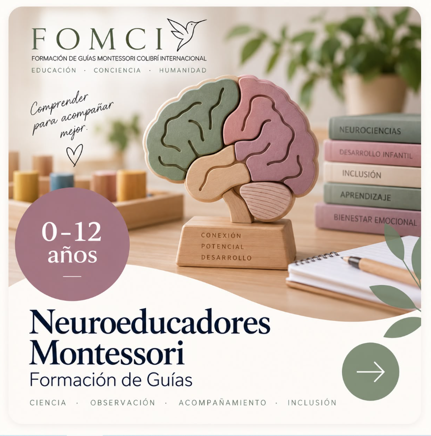 Certificación Neuroeducadores Montessori